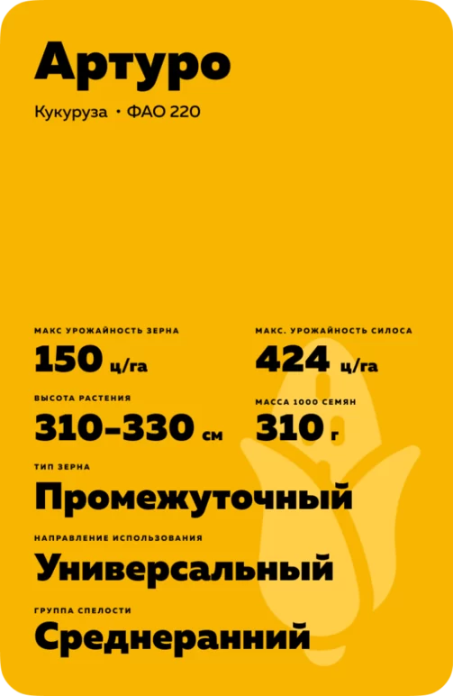 Артуро гибрид кукурузы