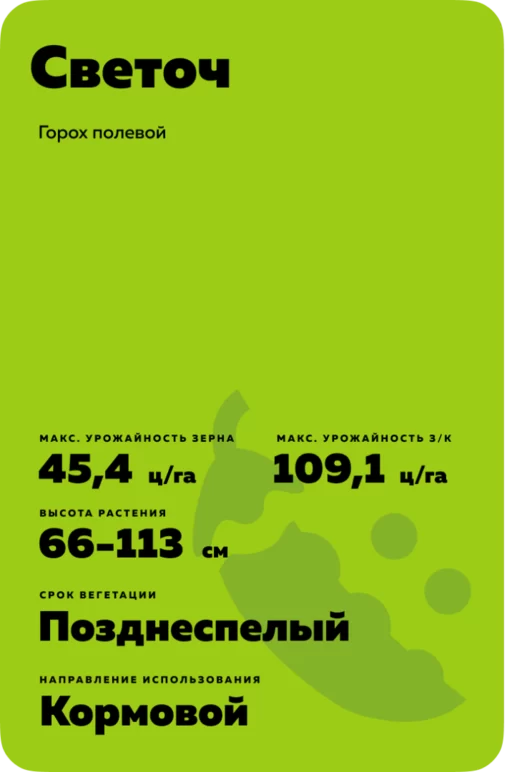 Светоч