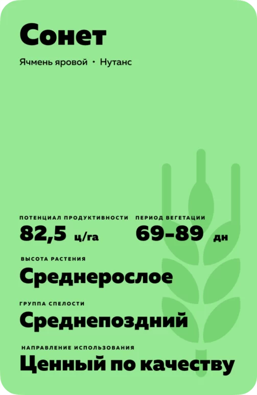 Сонет ячмень яровой