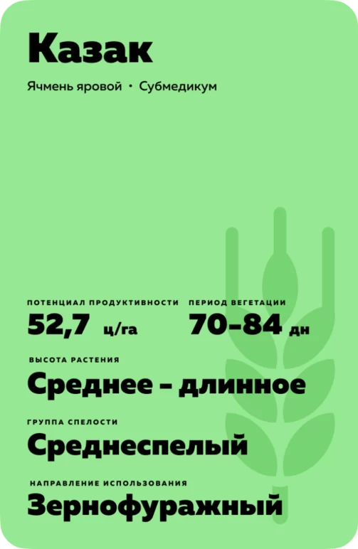 Казак сорт ячменя ярового