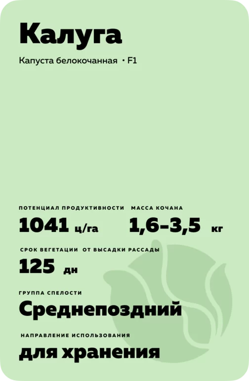 Калуга (KALUGA) гибрид капусты белокочанной