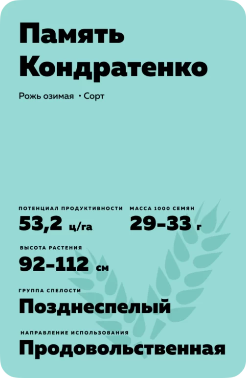 Память Кондратенко рожь озимая