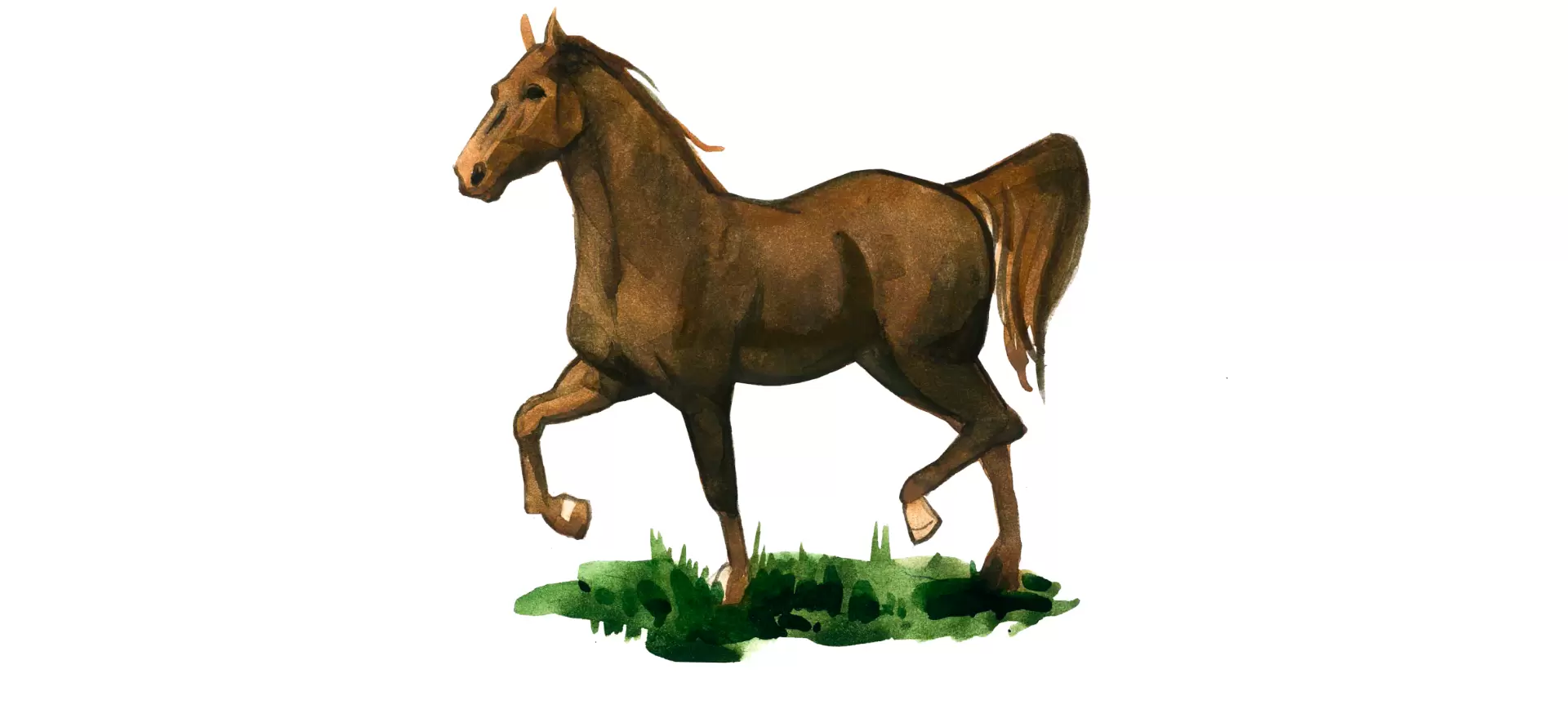 Вестфальская порода лошадей