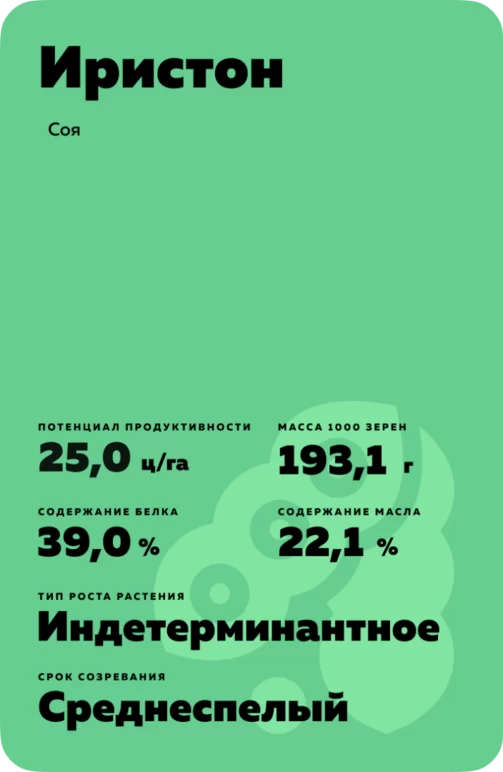 Иристон