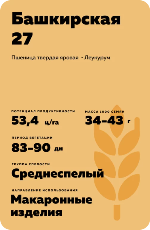 Башкирская 27 пшеница твердая яровая