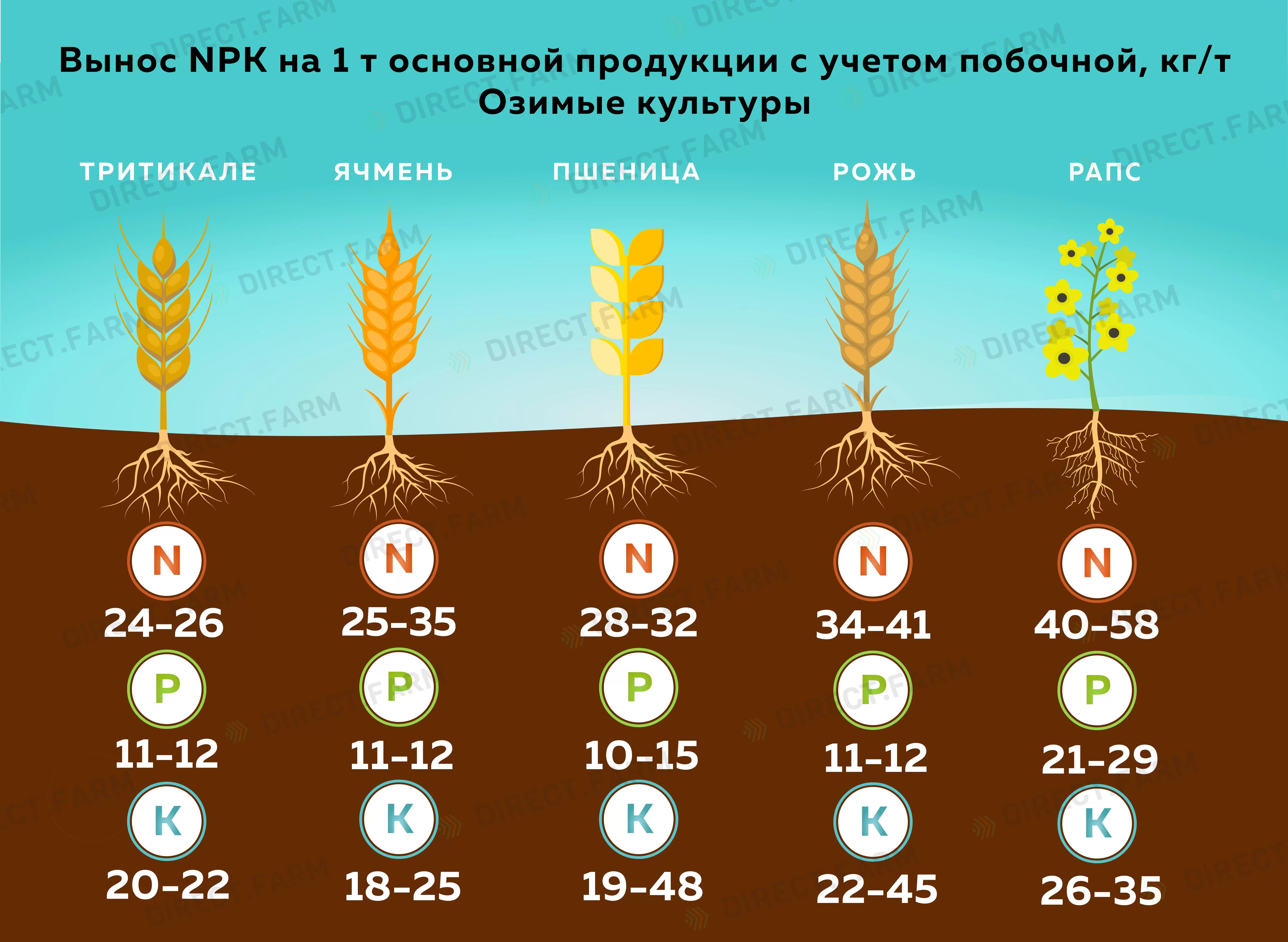 Вынос озимыми культурами: вынос элементов питания озимом ячменем, озимой  пшеницей, озимой рожью, озимой тритикале, озимым рапсом