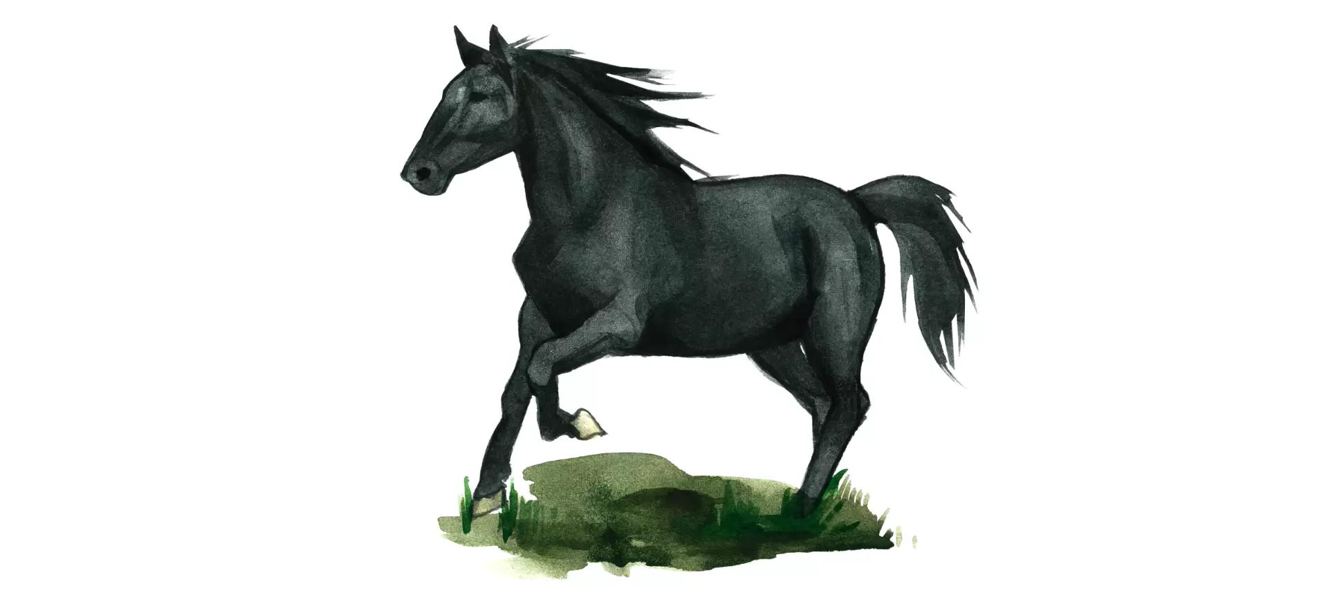 Хакнэ (хакне, гакне) – порода лошадей