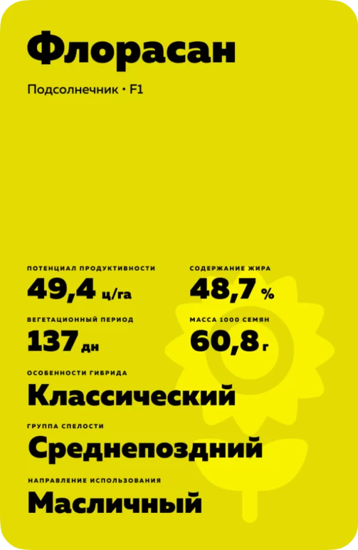 Флорасан  - гибрид подсолнечника (Helianthus annuus L.).