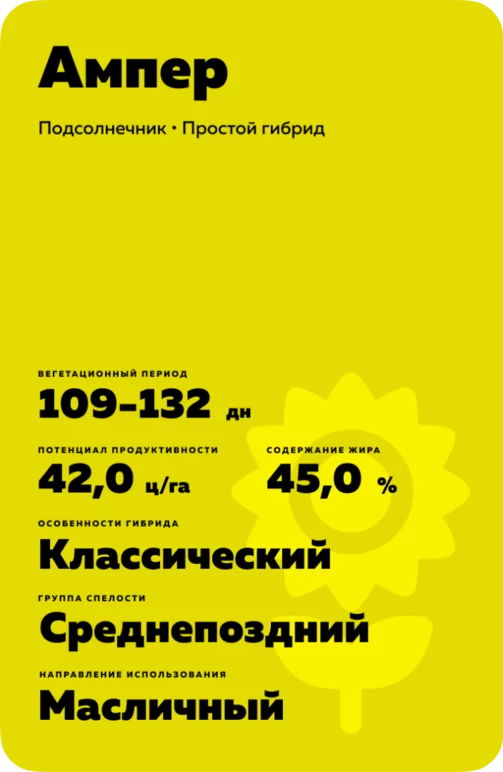 Ампер