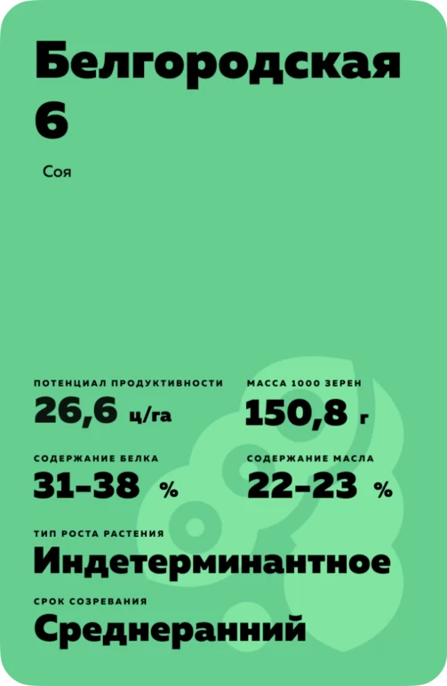 Белгородская 6