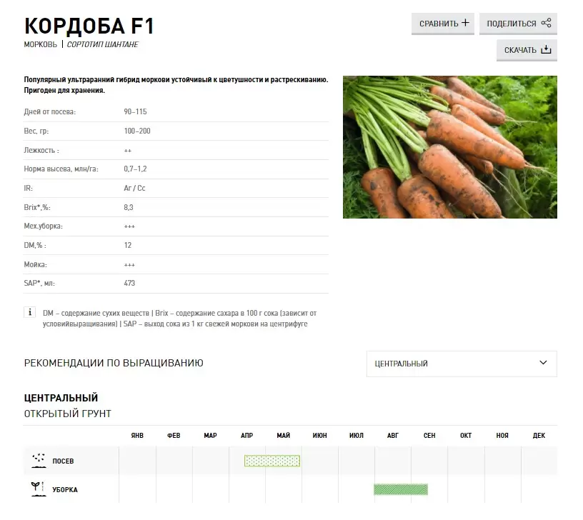 Семена Моркови Кордоба F1 Купить