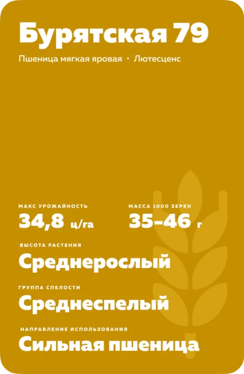 Бурятская 79