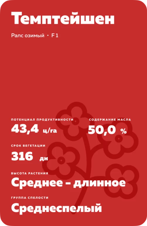 Темптейшен (TEMPTATION) рапс озимый