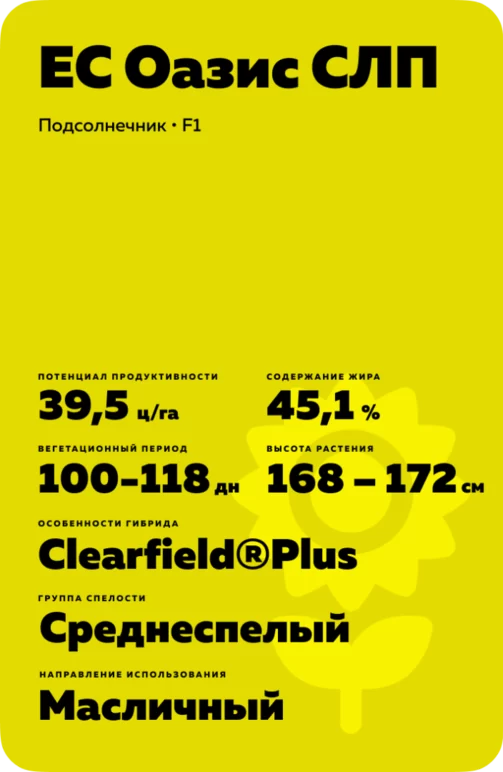 ЕС Оазис СЛП (ES OASIS CLP)