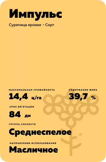 Импульс
