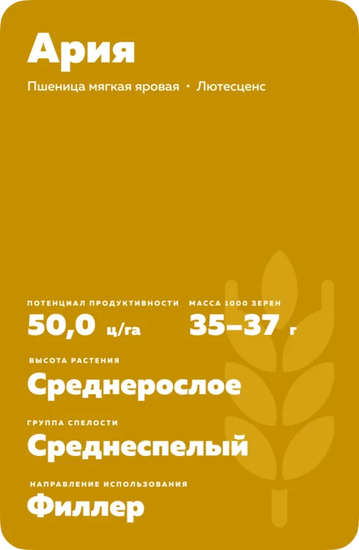 Ария сорт пшеницы мягкой яровой