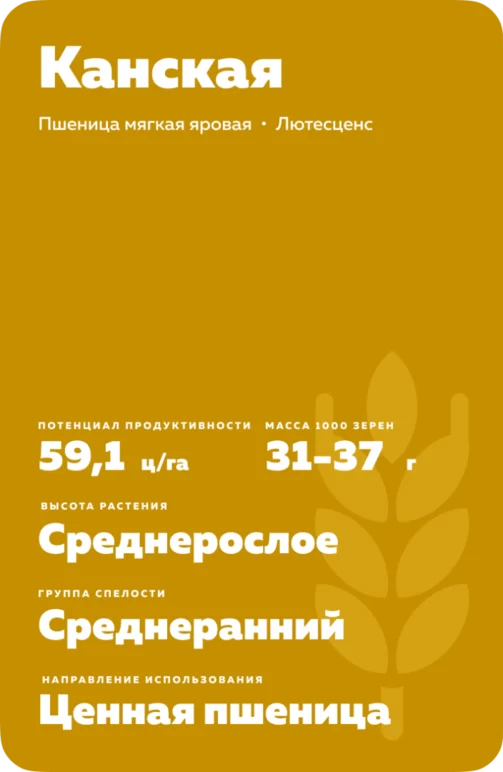 Канская