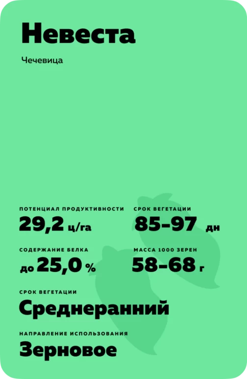 Невеста