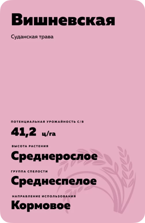 Вишневская