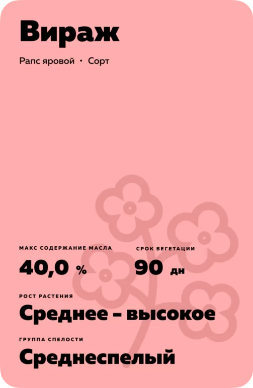 Вираж