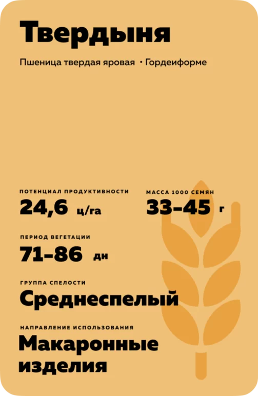 Твердыня пшеница твердая яровая