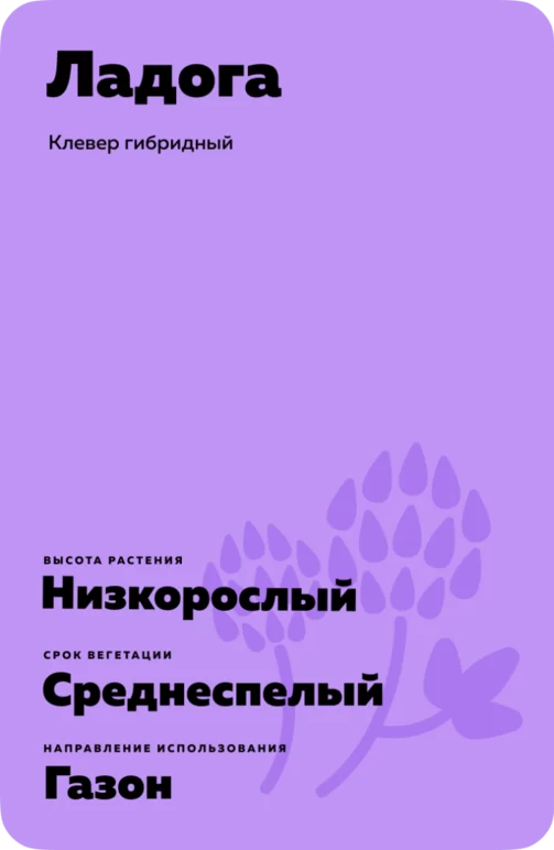 Ладога