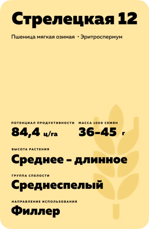 Стрелецкая 12