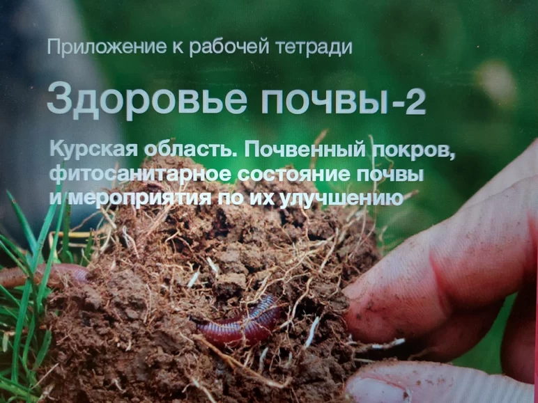 Здоровье почв в Курской  области - генезис почв, сохранение плодородия