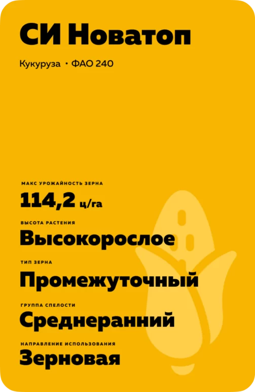 СИ Новатоп (SY NOVATOP)