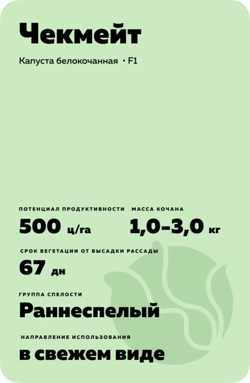 Чекмейт (CHECKMATE) гибрид капусты белокочанной
