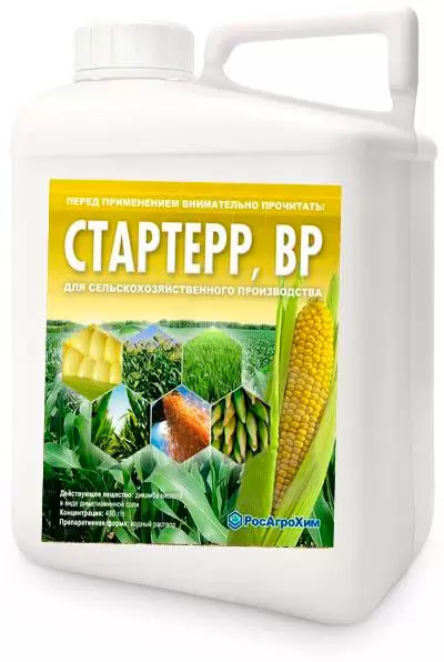 СтарТерр, ВР