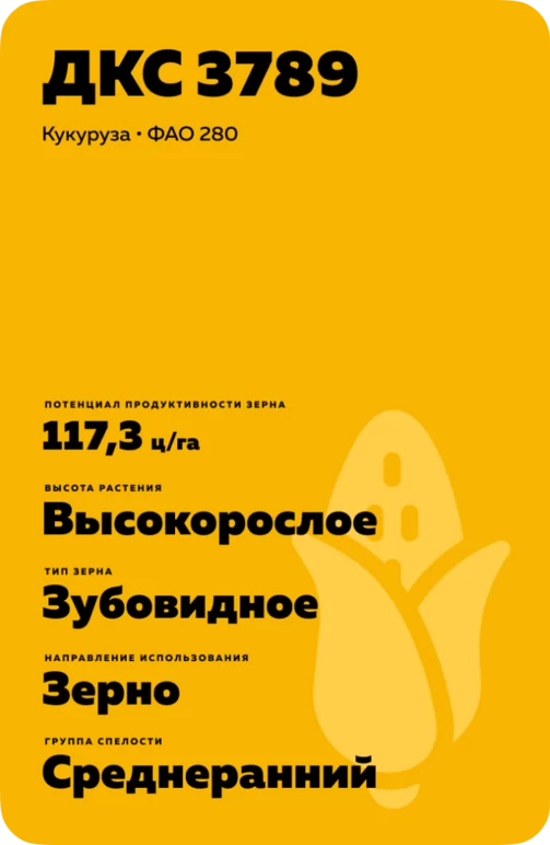 ДКС 3789 (DKC 3789) гибрид кукурузы