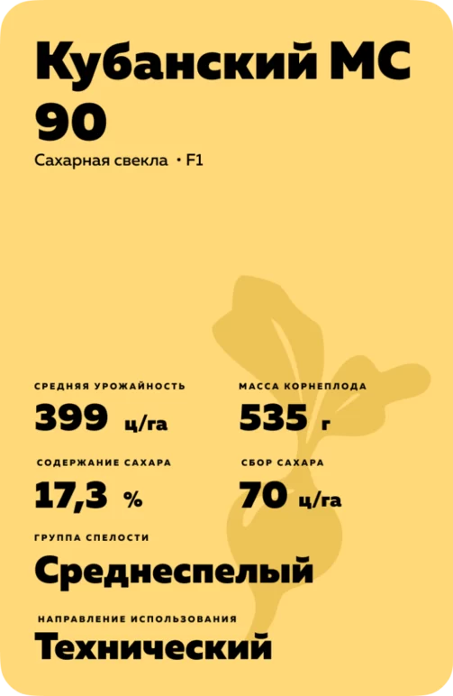 Кубанский МС 90 гибрид сахарной свеклы
