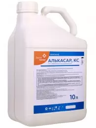 Алькасар, КС