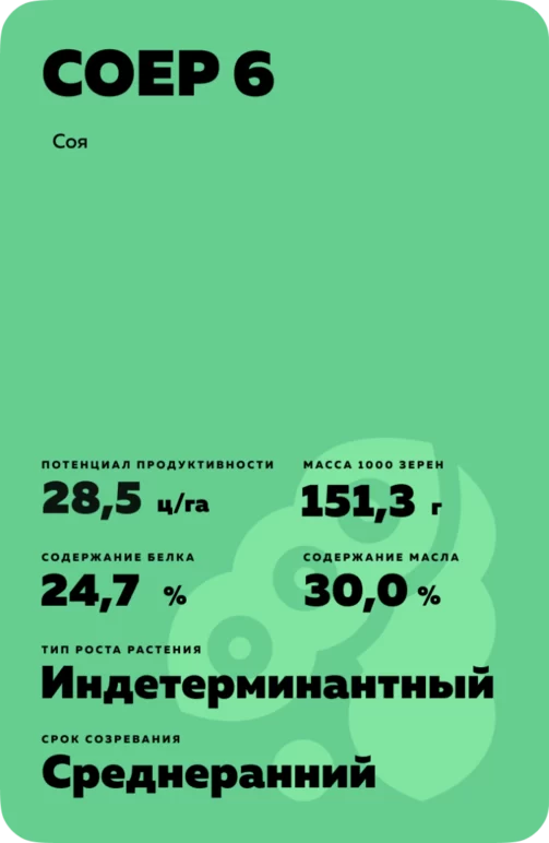 СОЕР 6