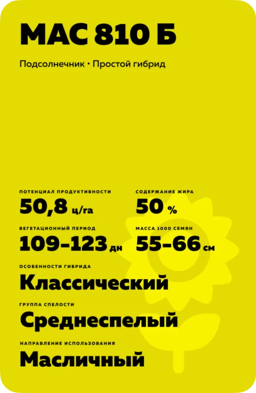 МАС 810 Б (MAS 810B) гибрид подсолнечника