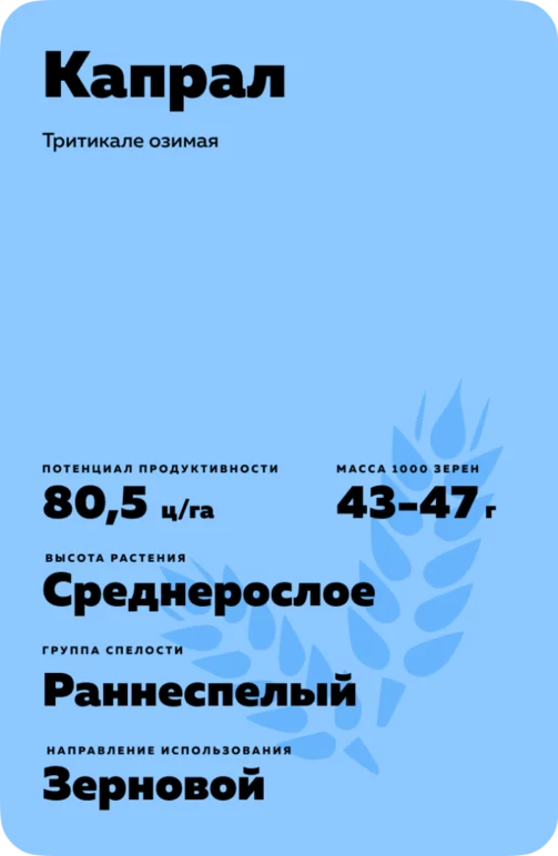 Капрал сорт тритикале озимой