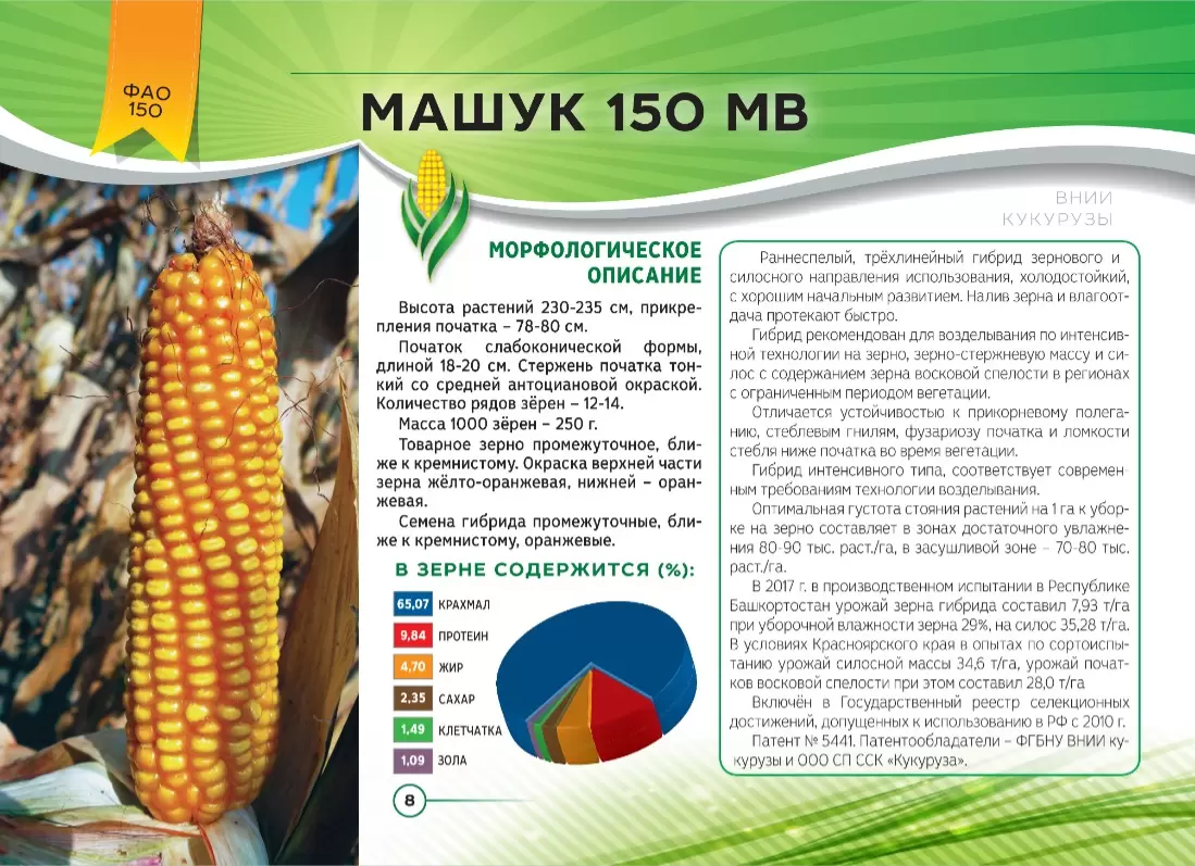 Кукуруза сахарная тройная сладость. Описание сортов кукурузы. Описание сортов кукурузы. Данубио кукуруза. Описание сортов кукурузы.