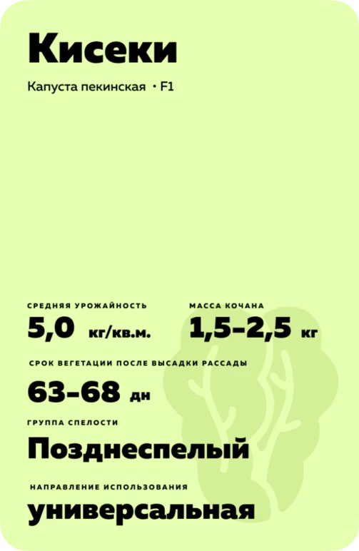 Кисеки F1 (KISEKI)