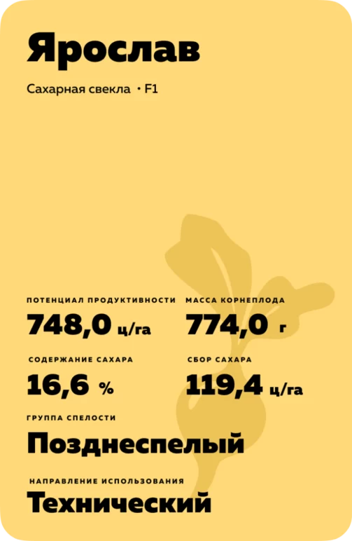 Ярослав - свекла сахарная
