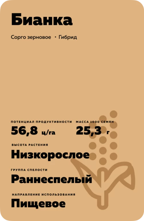 Бианка (BIANCA)