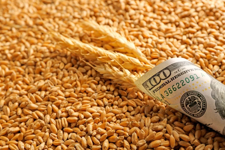 Экспортная пошлина на российскую пшеницу впервые превысит $100 с 13 апреля