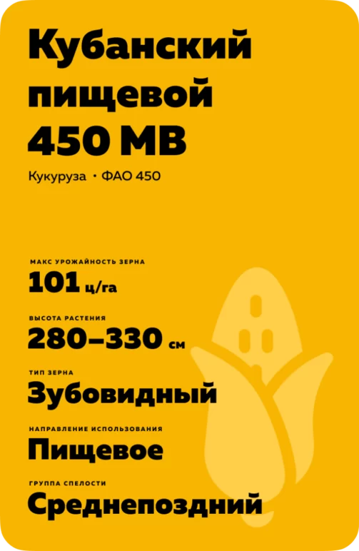 Кубанский пищевой 450 МВ - гибрид кукурузы ( Zea mays L.).