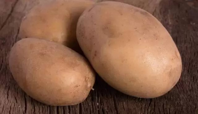Вектор - картофель. Характеристики и отзывы