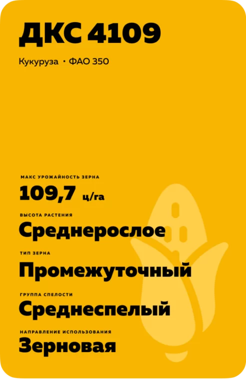 ДКС 4109 (DKC 4109) гибрид кукурузы