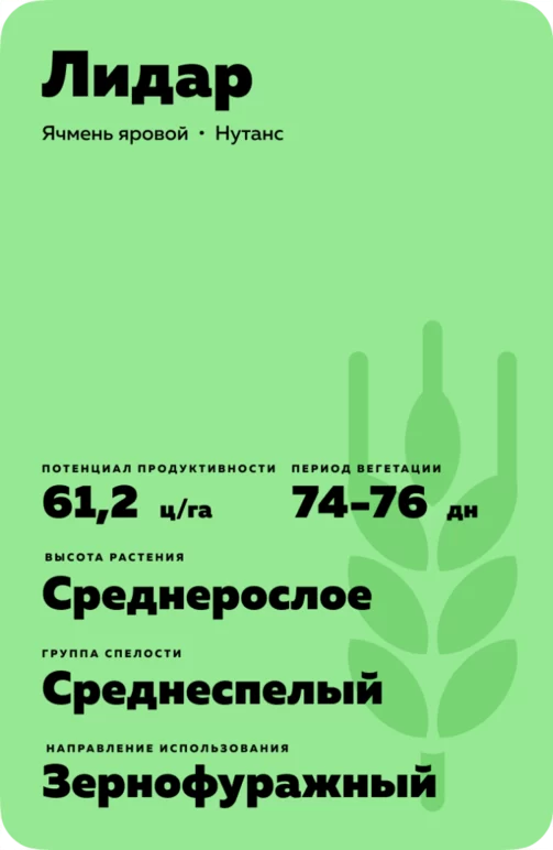 Лидар сорт ярового ячменя