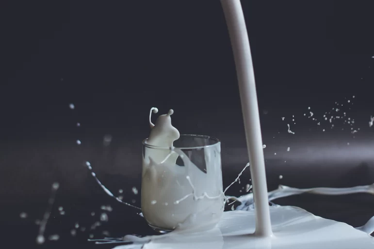  Польские учёные провели сравнительный анализ органического и обычного молока