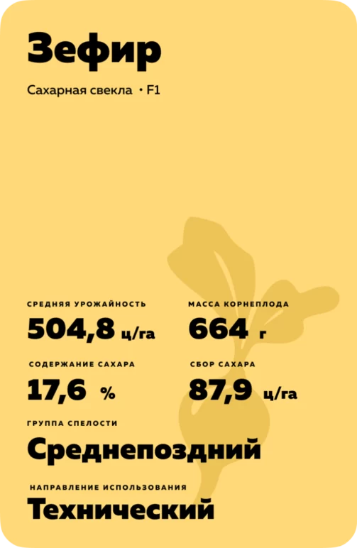 Зефир