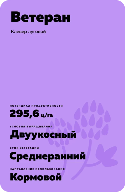 Ветеран