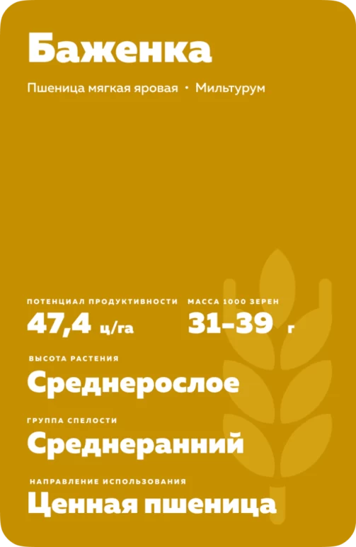 Баженка